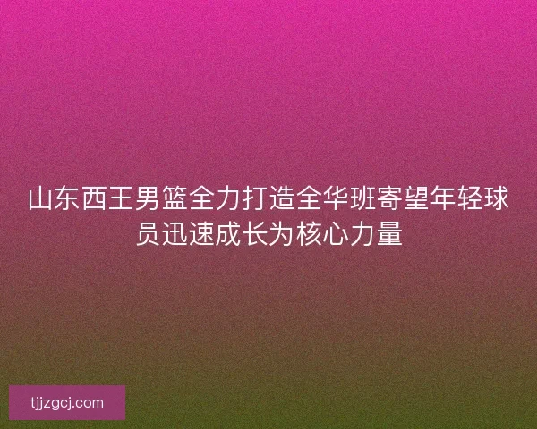 山东西王男篮全力打造全华班寄望年轻球员迅速成长为核心力量